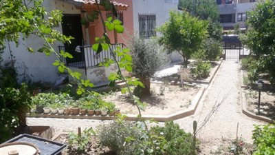 Balıkesir'de Aç Kalan Tikiler Sokaklara İndi