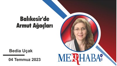 Balıkesir'de Armut Ağaçları