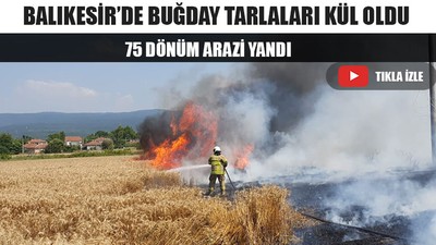 Balıkesir’de Buğday Tarlaları Kül Oldu