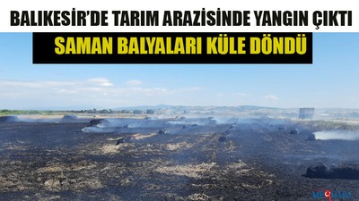 Balıkesir’de Tarım Arazisinde Yangın Çıktı