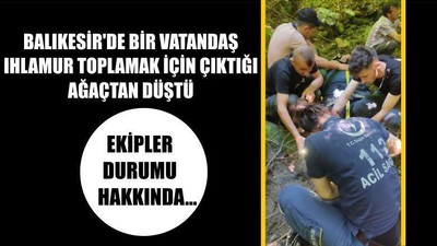 Balıkesir'de Vatandaş Ihlamur Toplamak İçin Çıktığı Ağaçtan Düştü