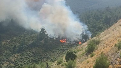 Balıkesir'de Yangın Kontrol Altına Alındı