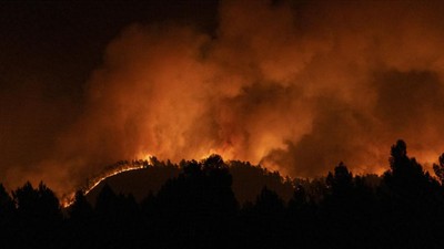 Orman Yangını Sonucu 15 Kişi Yaşamını Yitirdi