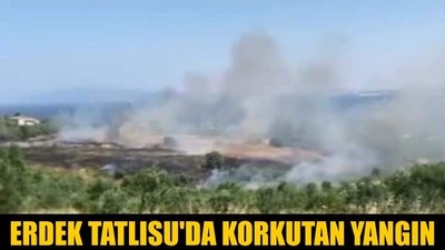 Erdek Tatlısu'da Korkutan Yangın
