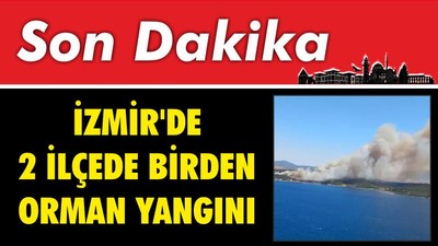 İzmir'de 2 İlçede Birden Orman Yangını