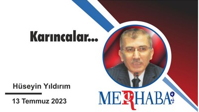 Karıncalar...