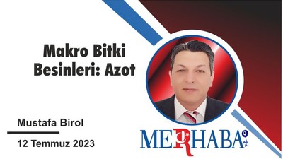 Makro bitki Besinleri: Azot