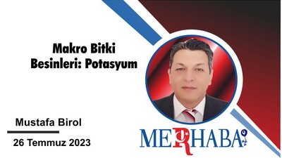 Makro Bitki Besinleri: Potasyum