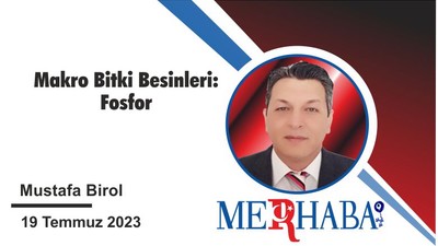Makro Bitki Besinleri: Fosfor