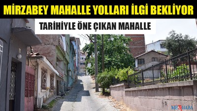 Mirzabey Mahalle Yolları İlgi Bekliyor