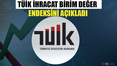 TÜİK İhracat Birim Değer Endeksini Açıkladı