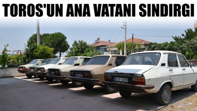 Toros'un Ana Vatanı Sındırgı