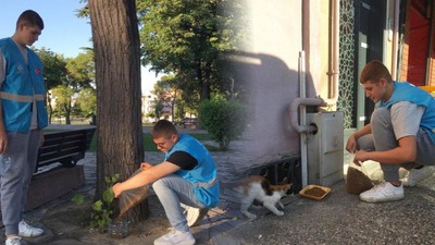 Ülkücü Gençler Sokak Hayvanlarına Bakıyor