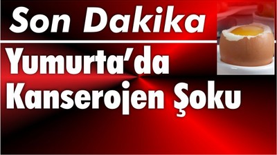 Yumurta İhracatında Kanserojen Şoku