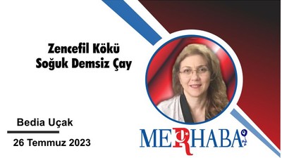 Zencefil Kökü Soğuk Demsiz Çay