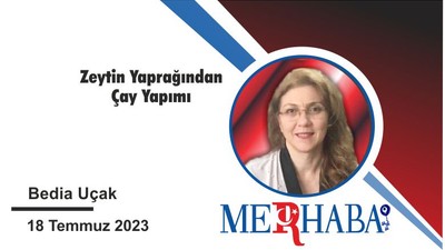 Zeytin Yaprağından Çay Yapımı