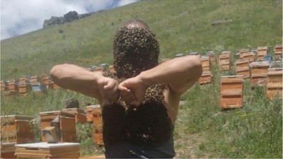 Avatar değil ama, Arı Bükücü!