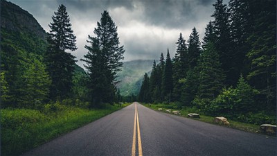 Orman Yolu Sanat Yapısı Yaptırılacak