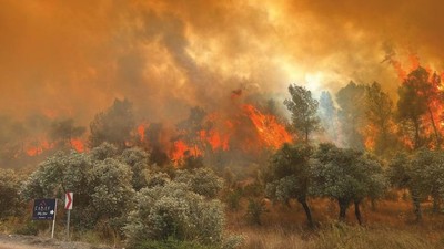 8 ildeki orman yangınlarıyla ilgili soruşturma