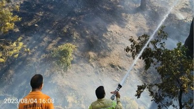 Burhaniye’deki Yangına Havadan Karadan Müdahale