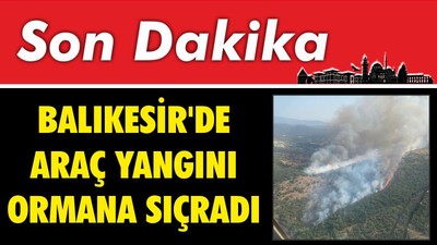 Araç Yangını Ormana Sıçradı