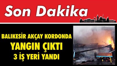 Balıkesir Akçay Kordonda Yangın Çıktı