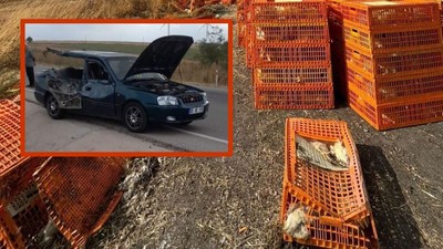Balıkesir'de Kaza: Tavuklar ve 3 Kişi Yaralı