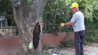Balıkesir'in Nefesine Bilimsel Bakım