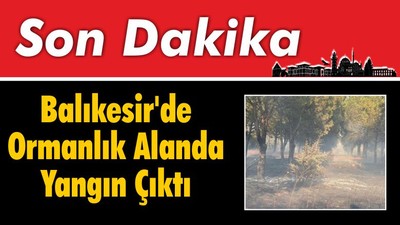 Balıkesir'de Ormanlık Alanda Yangın Çıktı