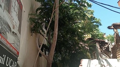 Polis Hırsızı Ceviz Ağacında Yakaladı