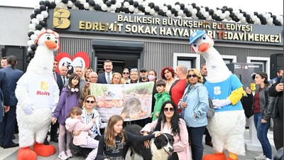 Balıkesir'de Sokak Hayvanları Yalnız Değil