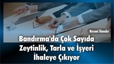 Bandırma'da Çok Sayıda Zeytinlik, Tarla ve İşyeri İhaleye Çıkıyor