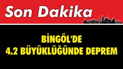 SON DAKİKA : Bingöl'de 4.2 Büyüklüğünde Deprem