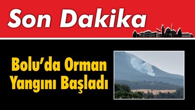 Bolu’da Orman Yangını Başladı