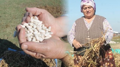 Bu Fasülyenin Hikayesi Var