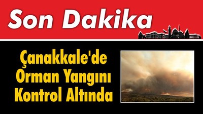 Son Dakika Çanakkale'de Orman Yangını Kontrol Altında