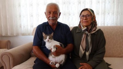 Depremde Kaybettikleri Kedilerini Geri Dönüp 5 Ay Sonra Buldular