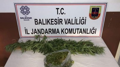 Erdek'te Kenevir Operasyonu