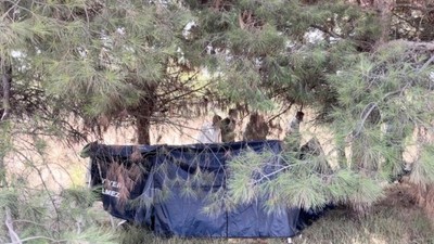 Esrarengiz Olay ! Bakım İçin Gelen İşçiler Ceset Buldu