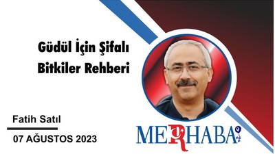 Güdül İçin Şifalı Bitkiler Rehberi