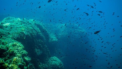 Karadeniz 'Marmara'ya Benziyor ! Sıcaklık 1 Derece Arttı
