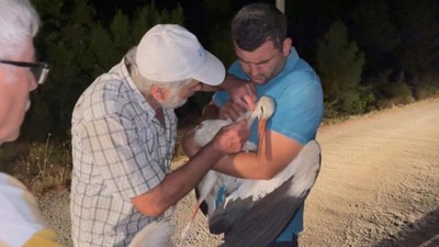 Köylüler Harekete Geçti ! Leylekler İçin Elektrikler Kesildi