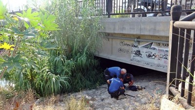 Madeni Para İçin Dalış Yaptı Ama Öyle Bir Şey Çıktı Ki