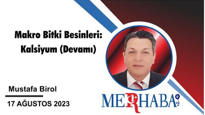 Makro Bitki Besinleri: Kalsiyum (Devamı)