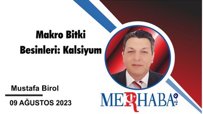 Makro Bitki Besinleri: Kalsiyum