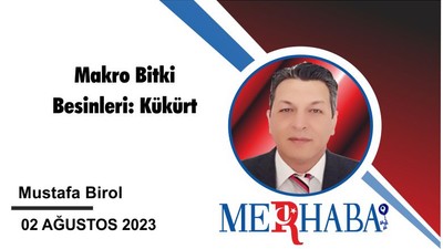 Makro Bitki Besinleri: Kükürt