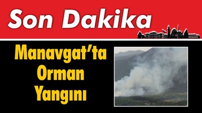 Manavgat'ta Orman Yangını Çıktı