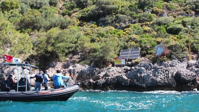 Marmara Denizinde Koy: Kum Köpek Balığı Üreme Alanı Oldu
