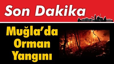 Muğla’da Orman Yangını
