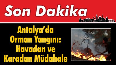 Antalya'da Orman Yangını: Havadan ve Karadan Müdahale